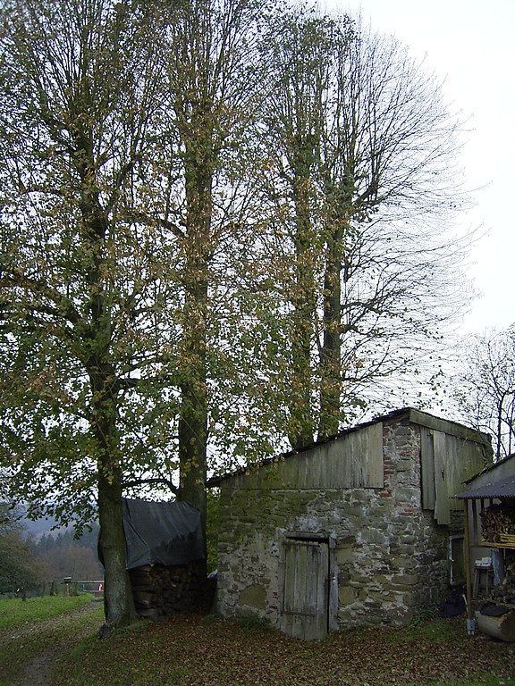 Altes Backhaus in Oberburghof (2007)