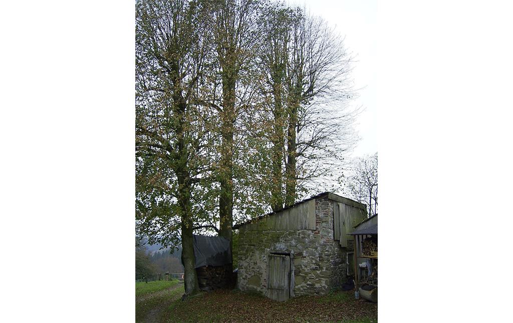 Altes Backhaus in Oberburghof (2007)