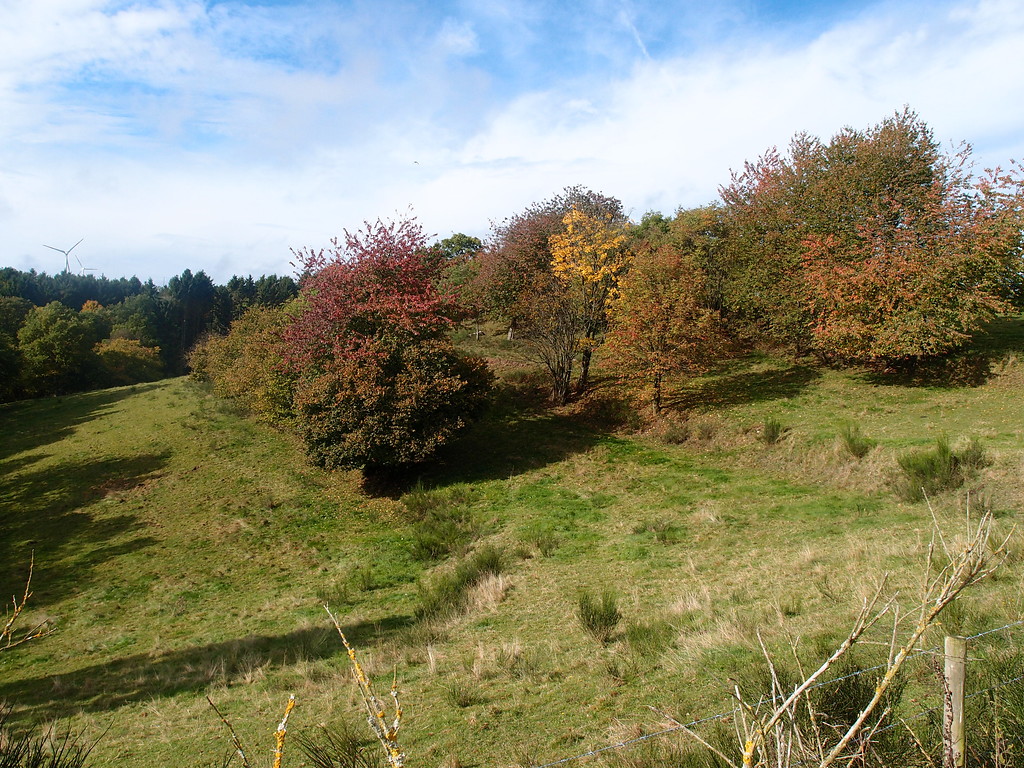 Herbstliche Ackerterrassen bei Berescheid mit linearen Heckenformationen parallel zur Hangkante (2015).