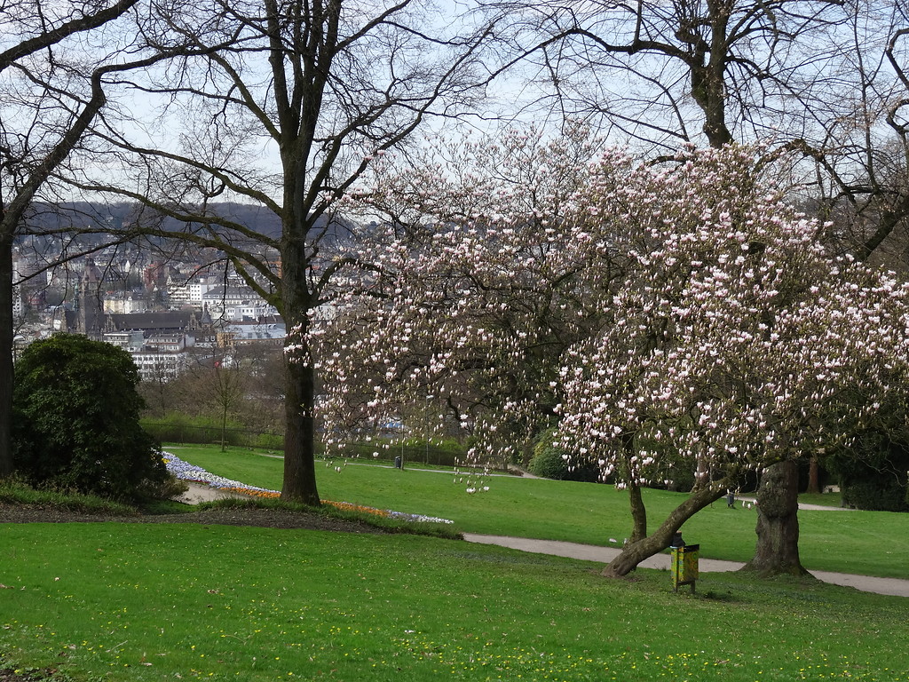 Hardt-Park in Wuppertal (2017)