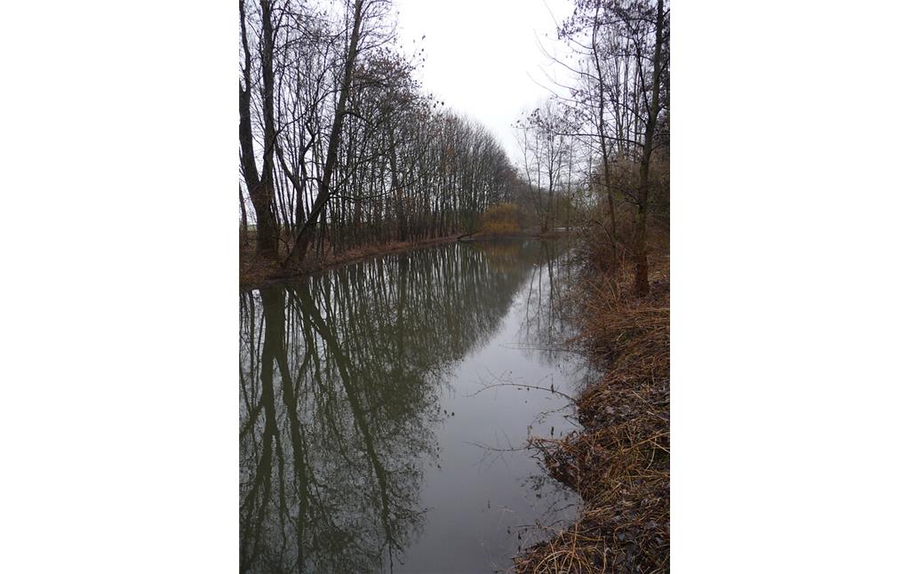 Abbildung 13: Teich 1 in der Großen Laache; Blick nach Südosten (2009)