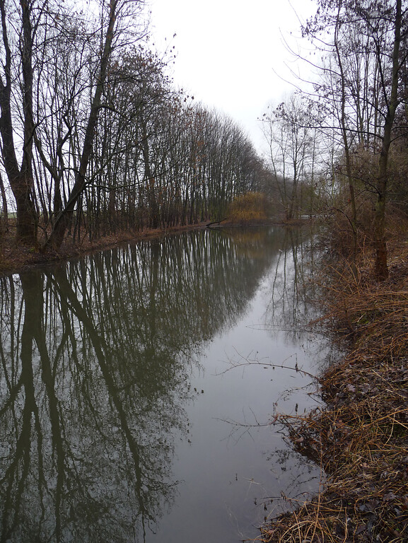 Abbildung 13: Teich 1 in der Großen Laache; Blick nach Südosten (2009)
