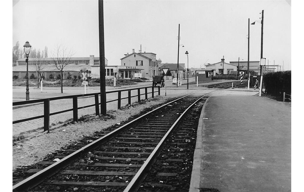 Historisches schwarz-weiß Foto des Haltepunkts Gottesweg der Schwarzen Bahn gen Nordwesten (1956).