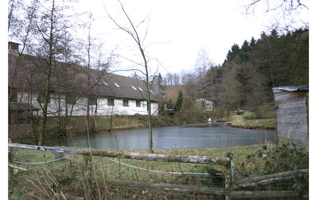 Großer Teich in Felsenbeck (2008)