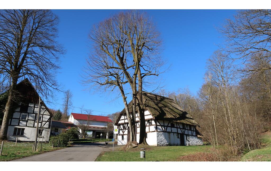Naturdenkmal Baumgruppe 2 Linden vor dem Museum Haus Dahl (2022)