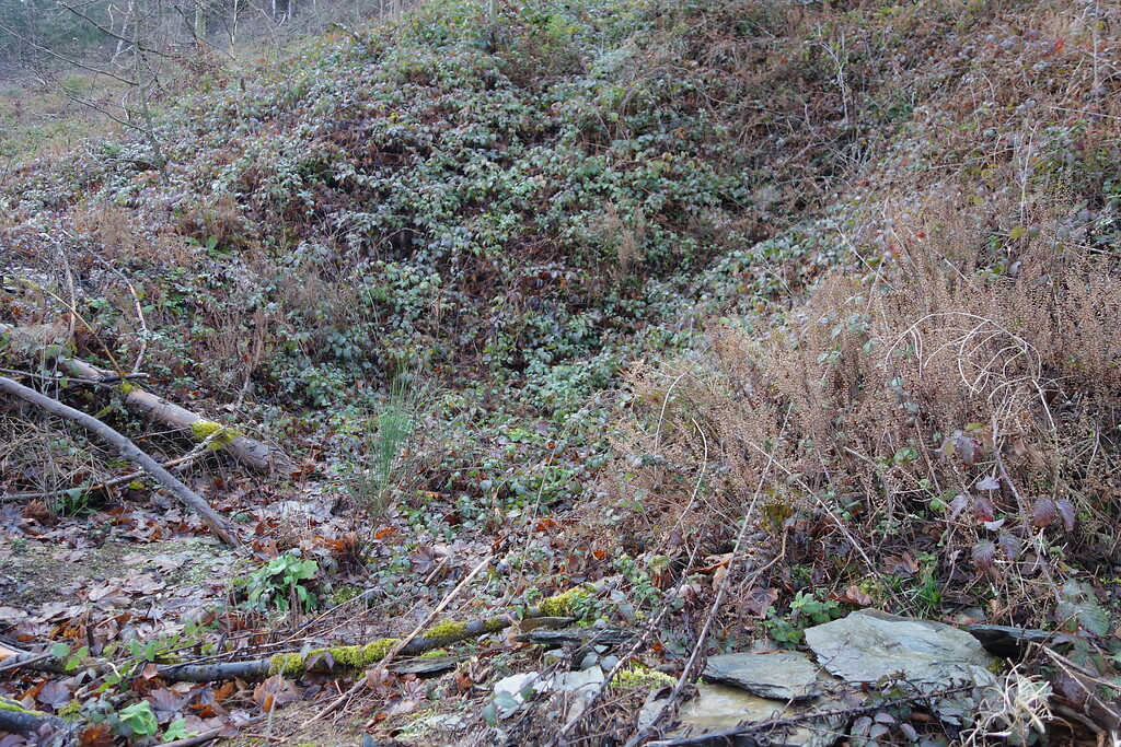 Im Winter ist der ehemalige Steinbruch, Standort der Aid Station, besser zu erkennen als im Sommer (2020).