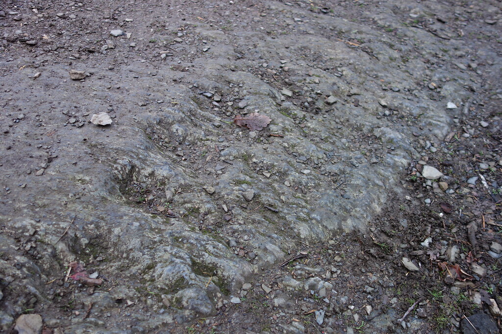 Abdruck einer der Panzerkette im Fels am Aussichtspunkt Dicke Ley (2020).