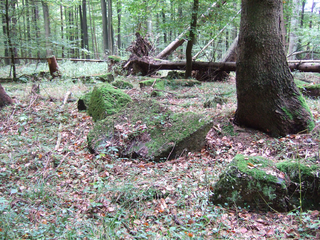 Munitionsbunker in der Musser Heide/Schwirzpohler Wald