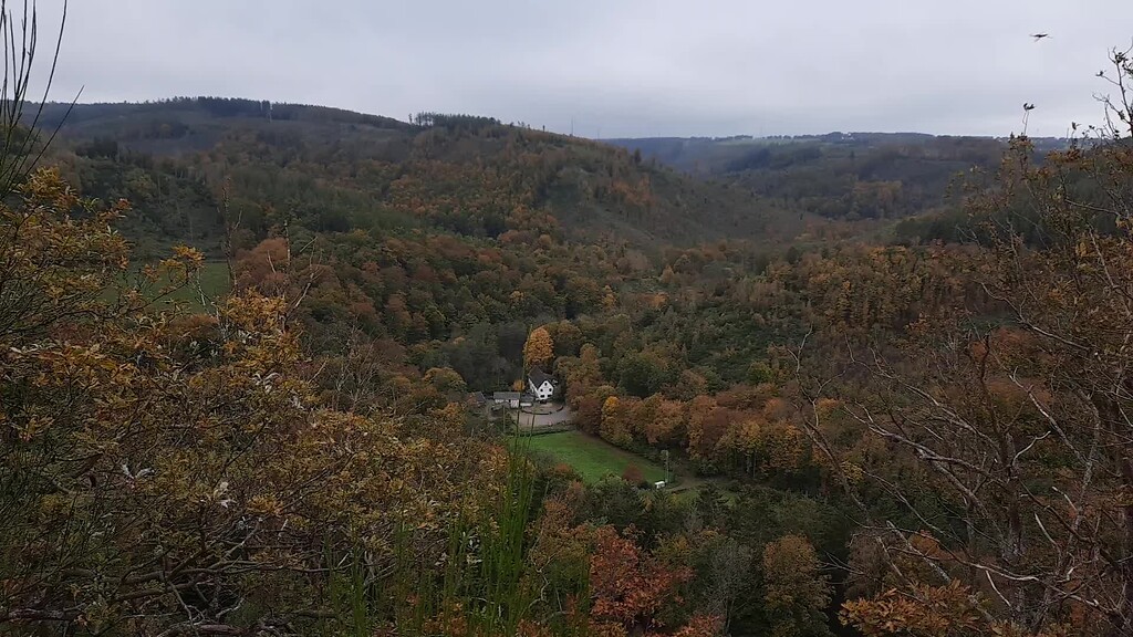 Das Video zeigt den Blick über das Kalltal mit der Mestrenger Mühle (2021).