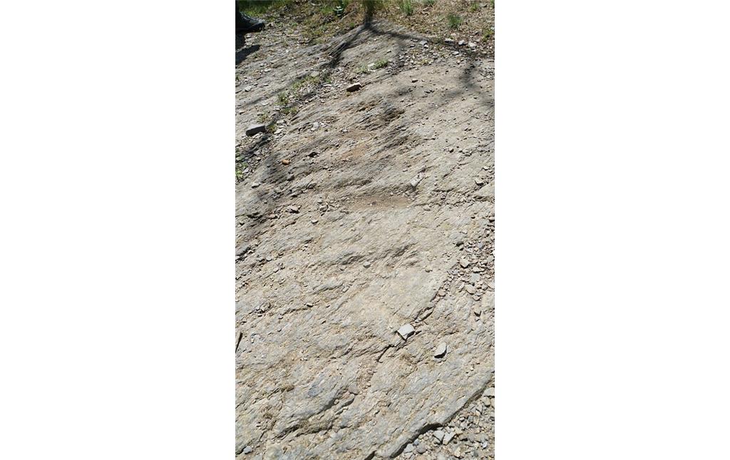 Abdrücke der Panzerketten im steinigen Untergrund des Kall Trails am Aussichtspunkt Dicke Ley (2021)