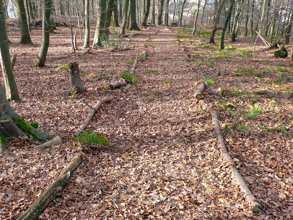Waldweg nahe der Ortschaft Burg (2007)