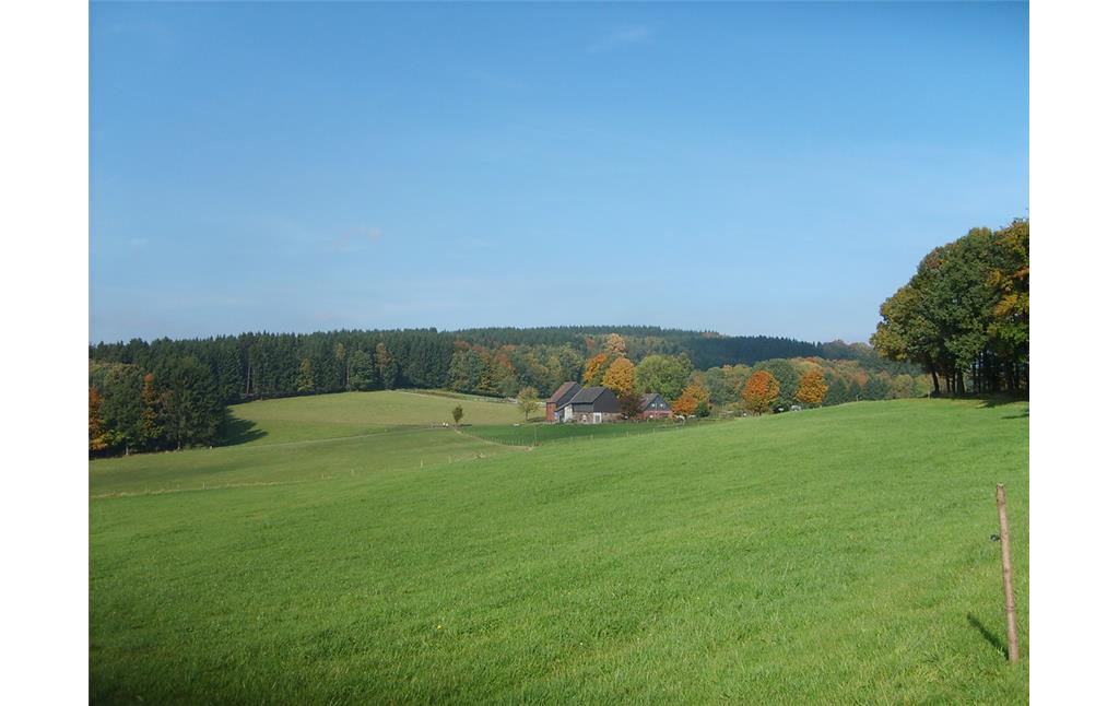 Lehmkuhl umgeben von Grünland und Wald aus südwestlicher Richtung (2008)