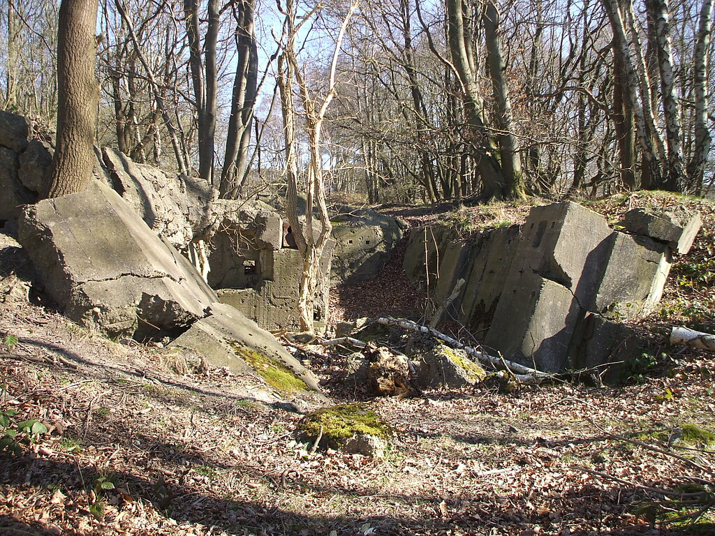 Reste von Bunkerruinen auf dem Standortübungsplatz Brander Wald zwischen Aachen-Brand und Stolberg-Münsterbusch, die Teil des sogenannten "Westwalls" waren (2014).