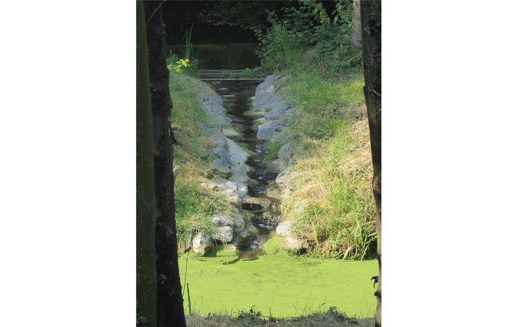 Abbildung 20: Rausche als Fischtreppe zwischen Teichkette und Versickerungsschlitz mit Wasserlinsen-Bedeckung (2019)