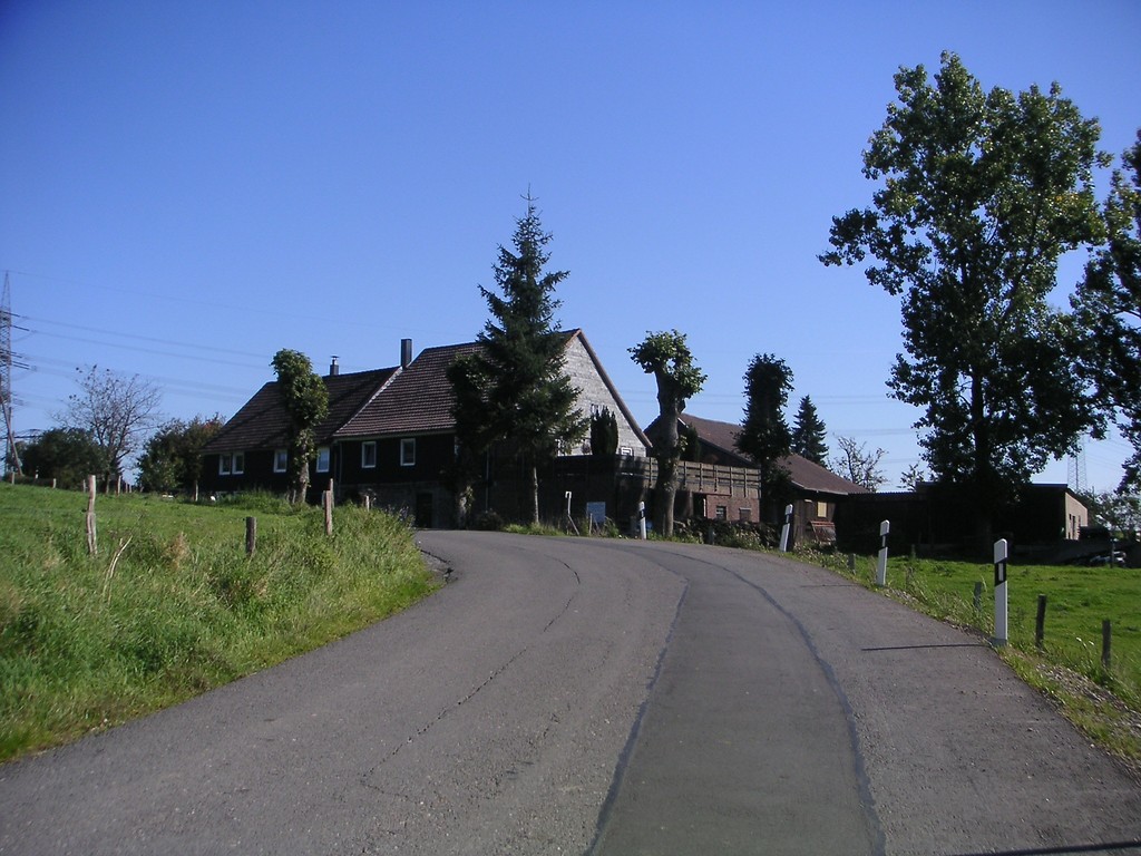 Hofstelle mit Schneitelbäumen in Großenscheidt (2007)