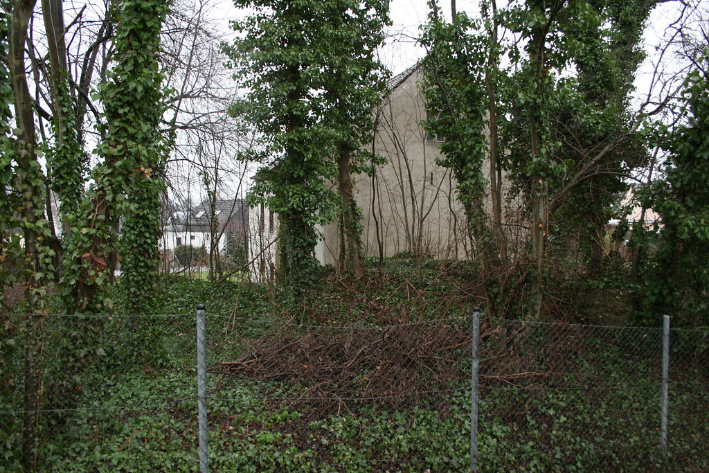 Blick über den verfüllten Stauteich auf die Mühle (2009)