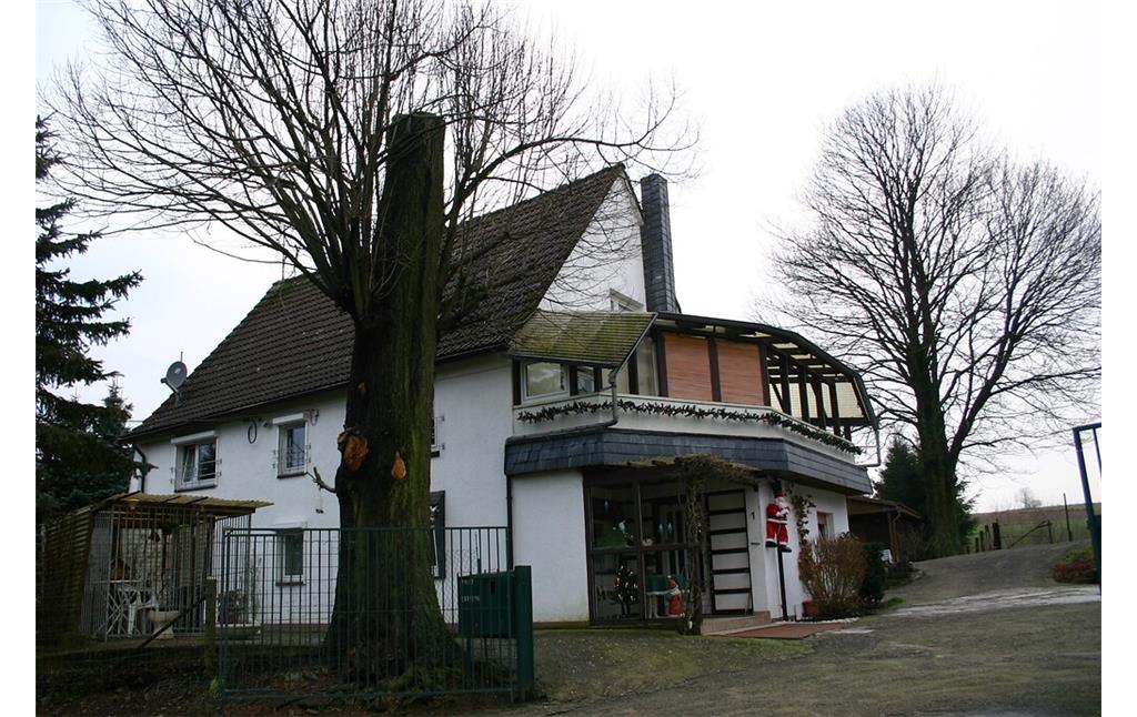 Wohnhaus mit historischer Gebäudesubstanz und Hausbäumen in Knefelskamp (2008)