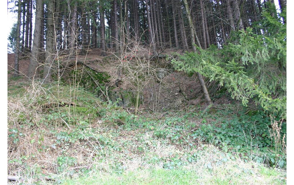 Der Steinbruch befindet sich in einem Nadelholzbestand bei Felsenbeck (2008)