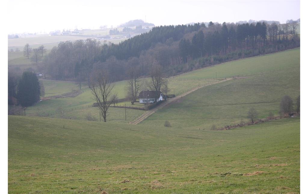 Die Einzelsiedlung Hönderbruch ist umgeben von Grünland (2008)