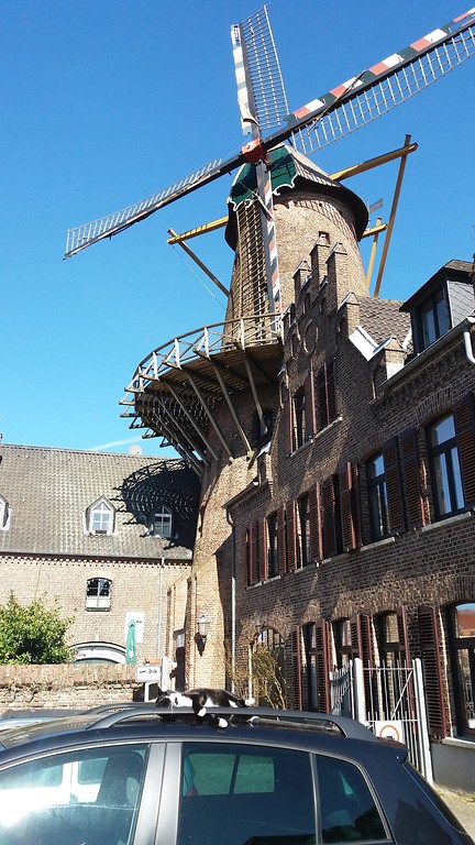 Windmühle am Hanselaertor (2018)