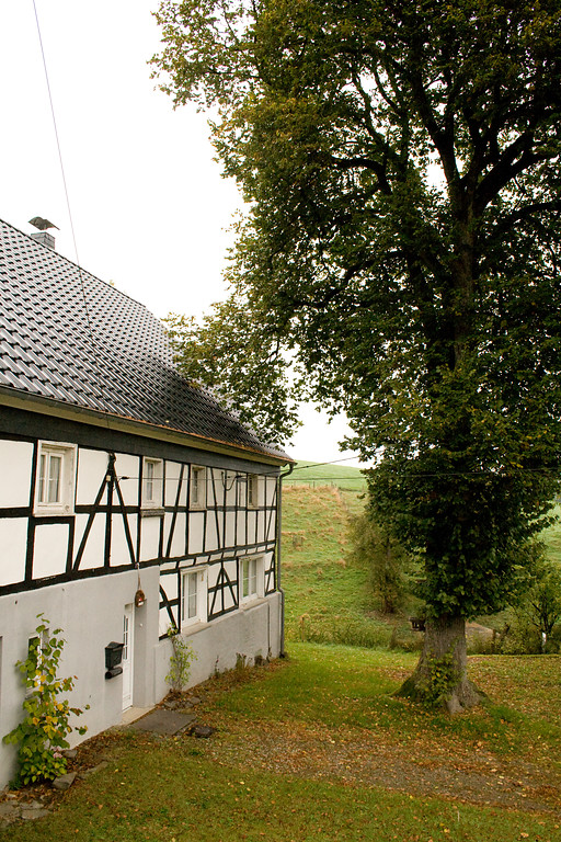 Fachwerkhof mit Hoflinde in Bühlstahl (2013)