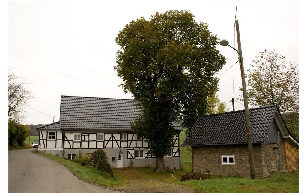 Fachwerkhof mit Hoflinde in Bühlstahl (2013)