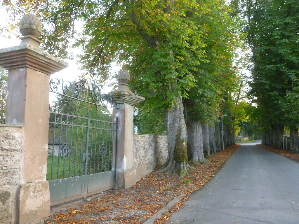 Allee zum Schloss Schmidtheim mit Eingang zum Park (2014)