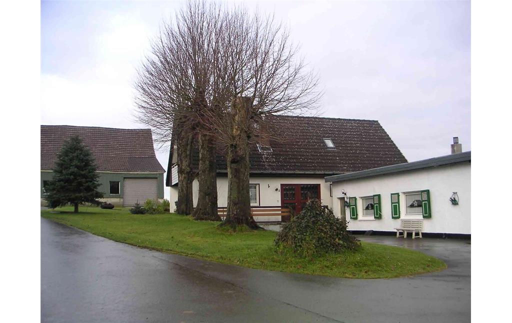 Hausbäume vor ehemaligem historischem Wohnhaus in Lambeck (2007)