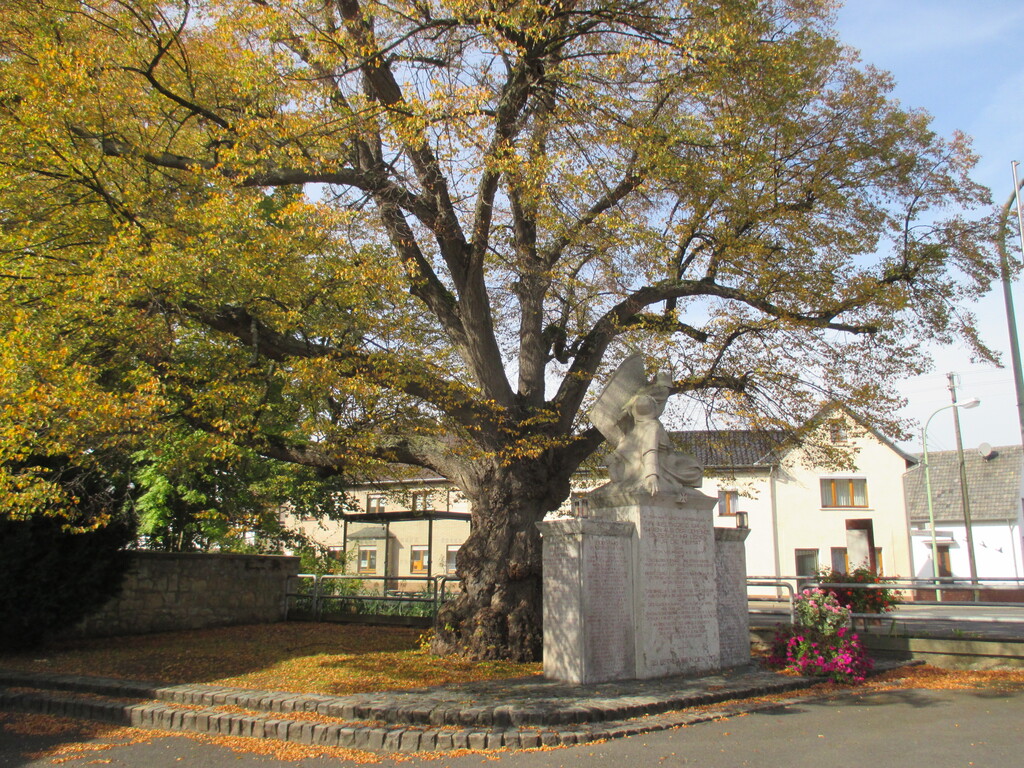 Kriegerdenkmal Sinzenich (2015)