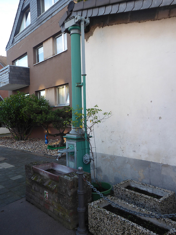 Abbildung 8: Schwengelpumpe an der Sintherner Straße 29 in Geyen (2019)