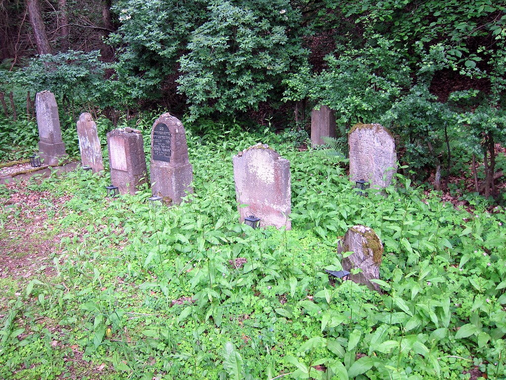 Teilansicht des zwischen Waldrand und Kreisstraße gelegenen jüdischen Friedhofs oberhalb von Dernau im Ahrtal (2015). Zu erkennen sind zum Teil eingefasste Grabstellen und Grabsteine.
