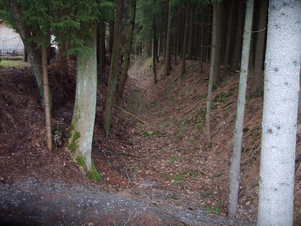 Mühlengraben des Wegehofshammers im Nadelwaldbereich (2009)
