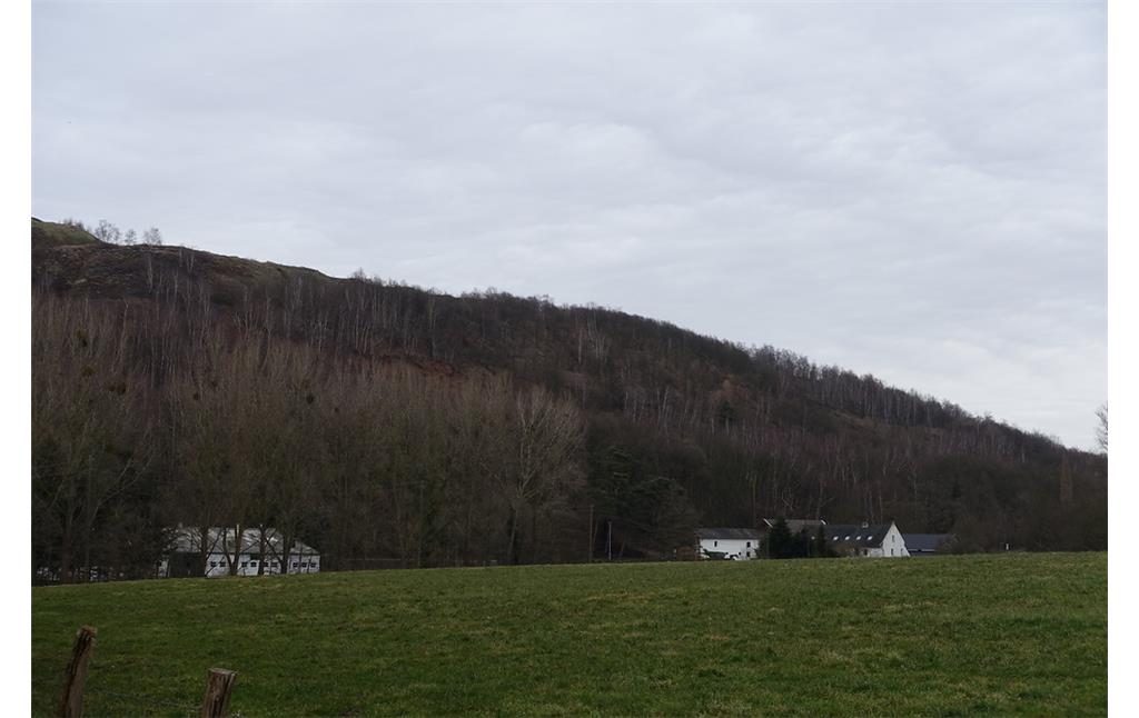 Alsdorfer Mühle vor Bergehalde (2015)