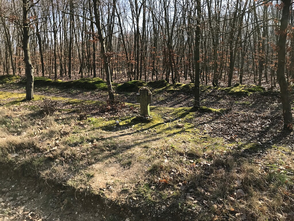 Das Gedenkkreuz befindet sich heute an der Hangkante der Glessener Höhe im Königsdorfer Wald (2020)
