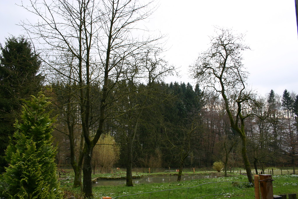 Obstbäume und Teich in Elberhausen (2007)