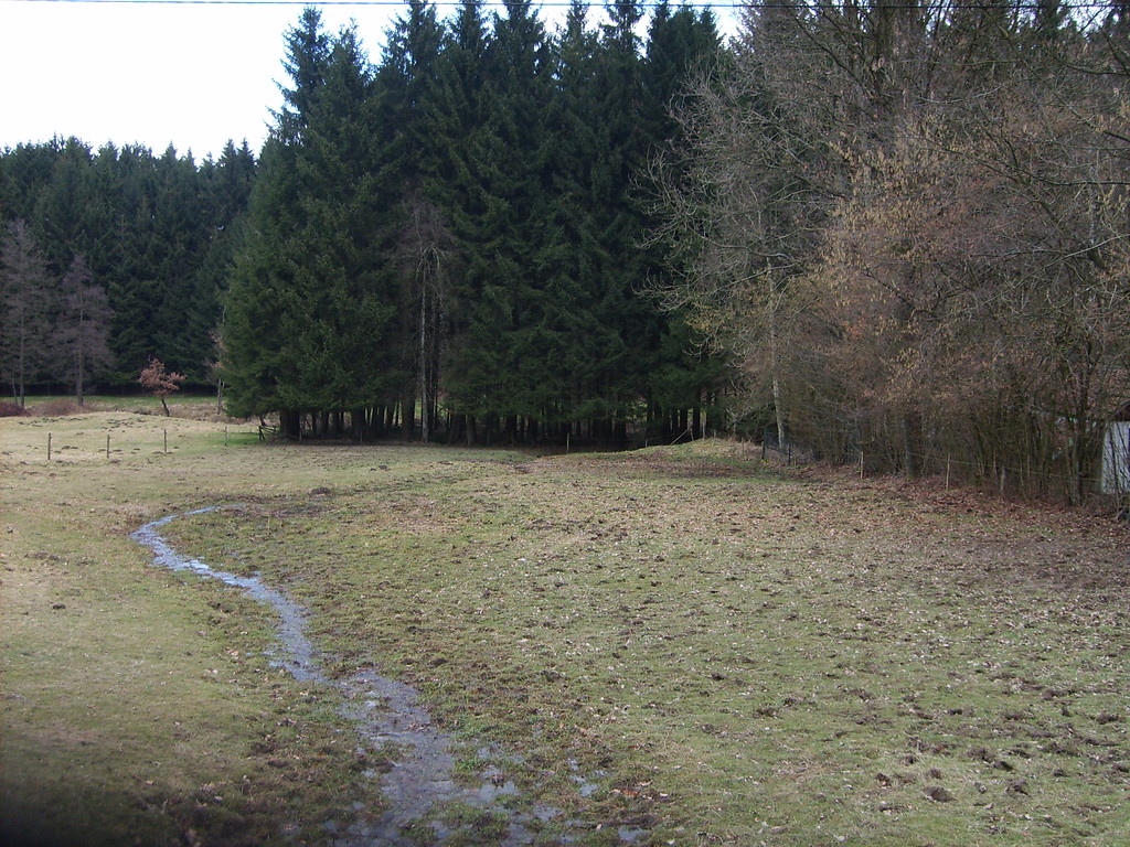 Verlauf des Mühlengrabens des Wegehofshammers (2009)