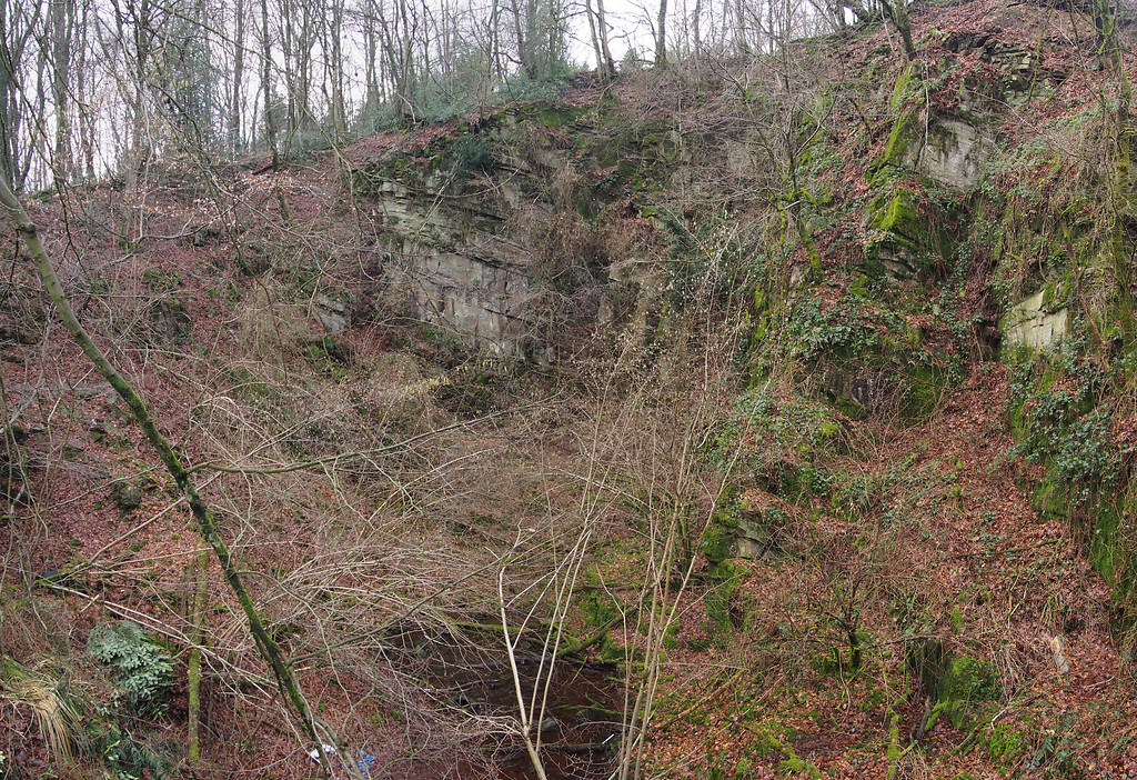 Blick in den Bruchkessel bei Zäunchen mit Tümpel. Die Felswände ragen ca. 10 m hoch auf. (2018)