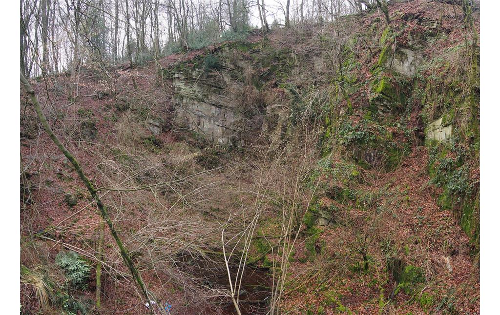 Blick in den Bruchkessel bei Zäunchen mit Tümpel. Die Felswände ragen ca. 10 m hoch auf. (2018)