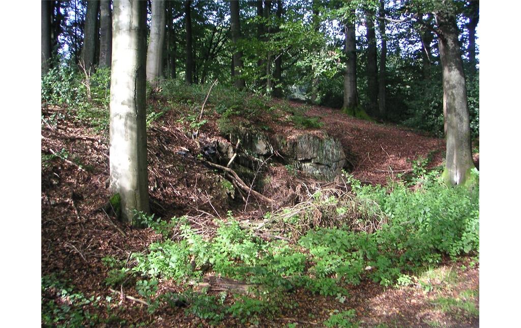 Steinbruch nahe der Ortschaft Dürhagen (2007)