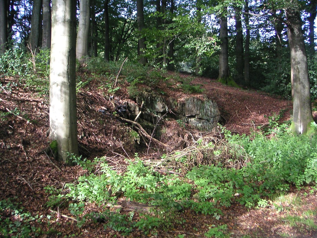 Steinbruch nahe der Ortschaft Dürhagen (2007)