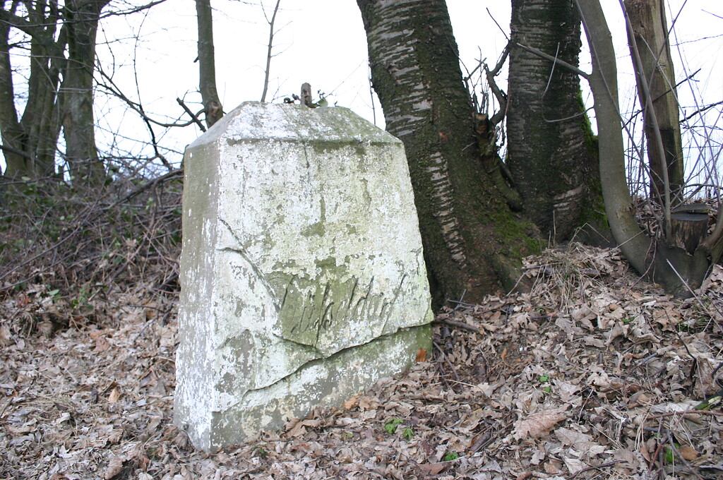Auf dem Grenzstein bei Linde ist die Inschrift "Düßeldorf" erkennbar (2008)