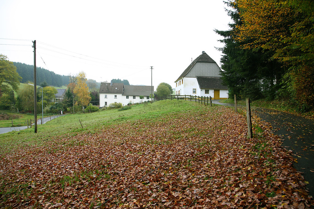 Altbausubstanz im östlichen Ortsteil Schöneborns (2008)