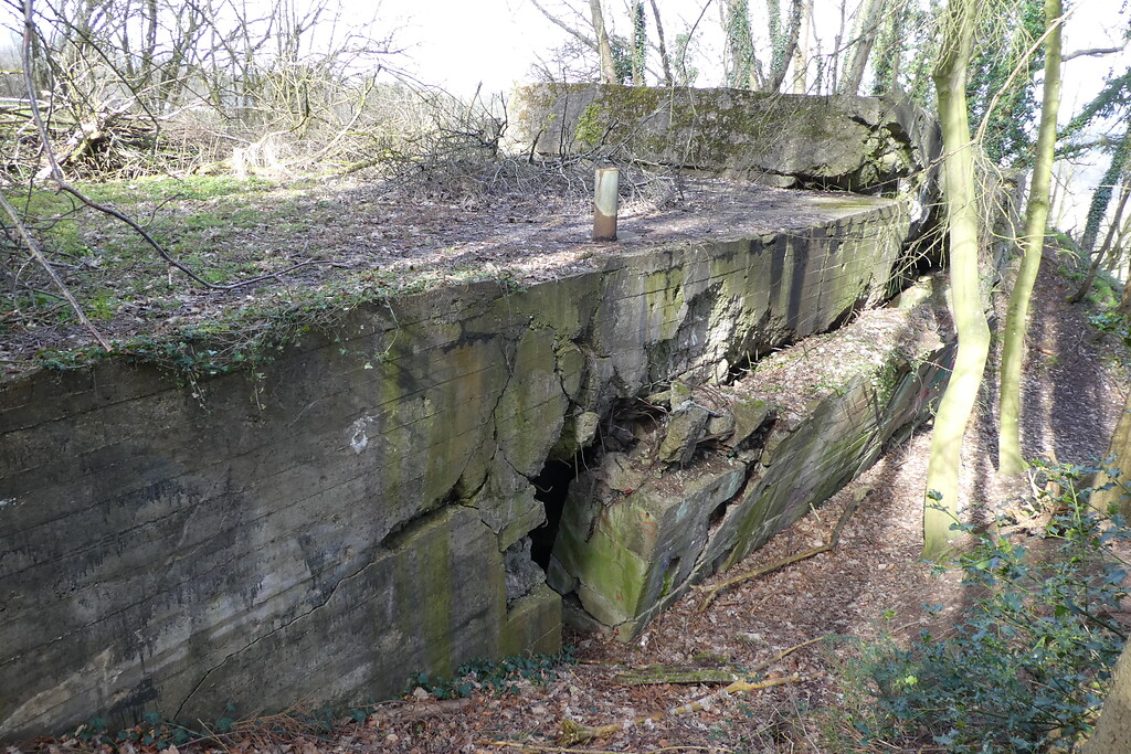 Bild 2: Bei Bergstein befindet sich unterhalb des Burgbergs der gesprengte Bunker 370, der zum Typ Regelbau 31 / Regimentsgefechtsstand zählt. Er konnte 32 Mann aufnehmen (2020).