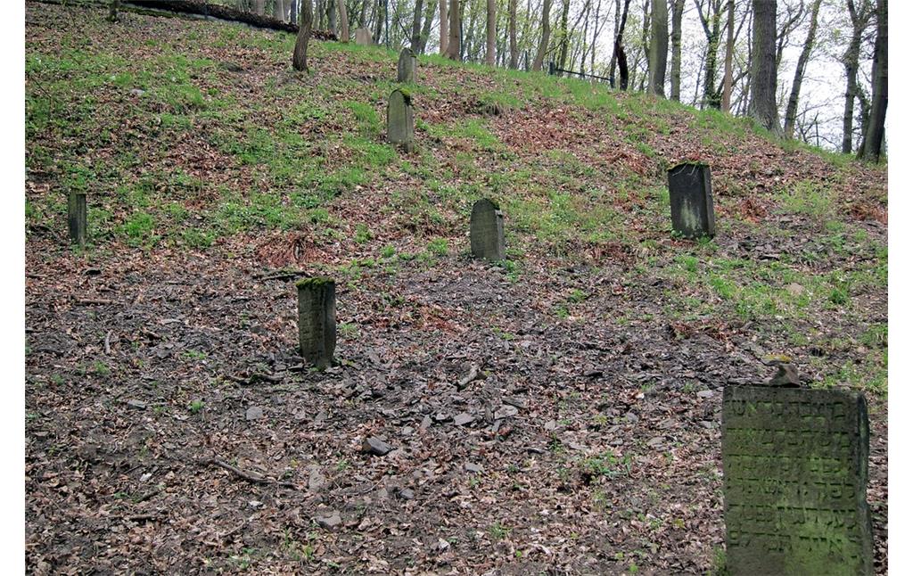 Alter Jüdischer Friedhof in Bad Breisig-Rheineck (2013)