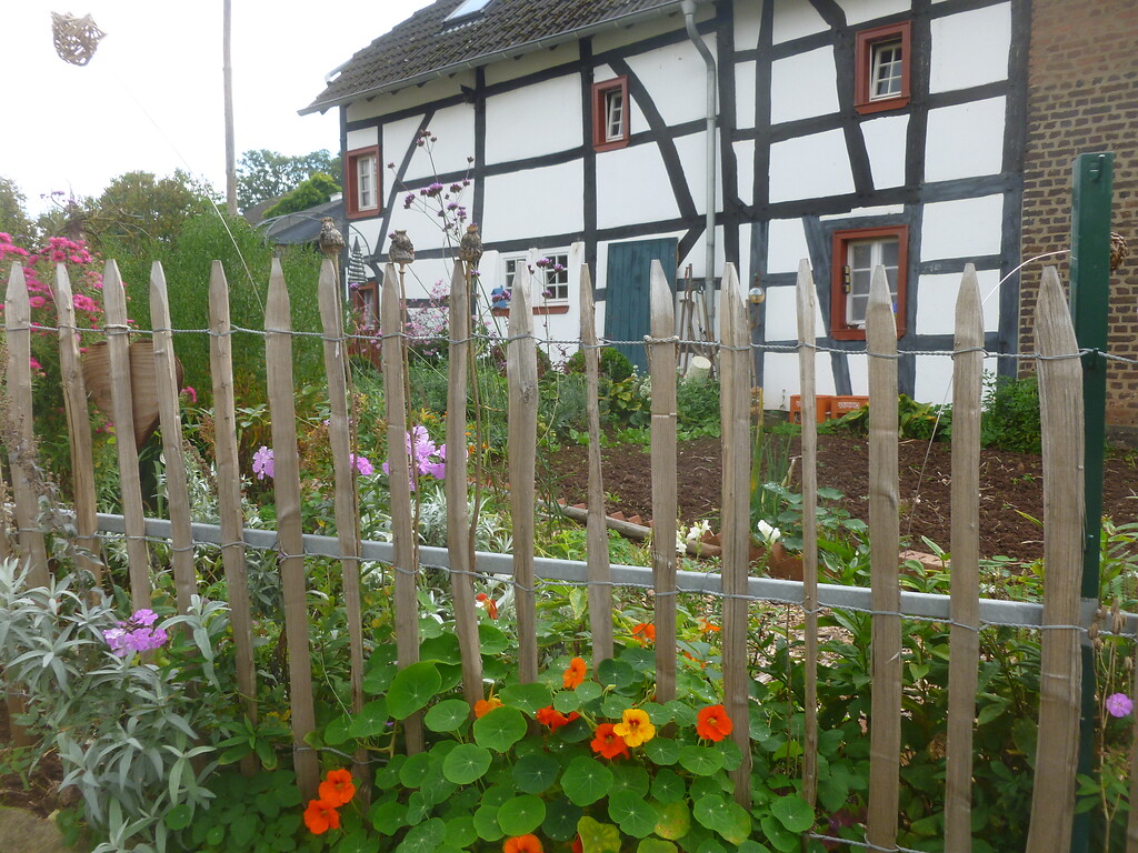 Vor diesem Fachwerkhaus in Lückerath ist ein Bauerngarten angelegt. (2014)
