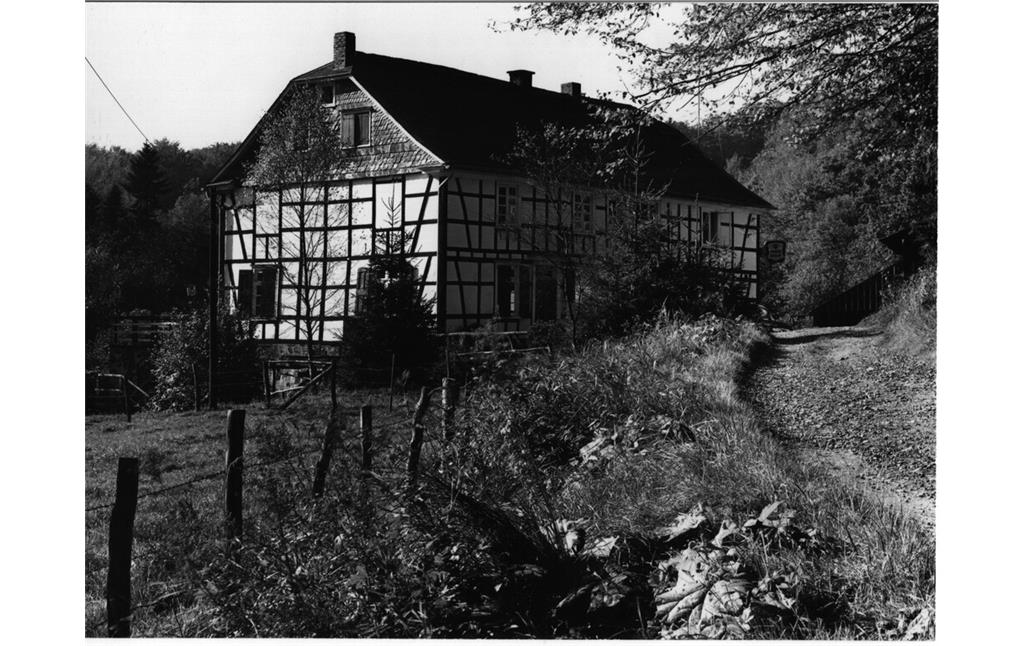 Rausmühle am Eifgenbach (1967)