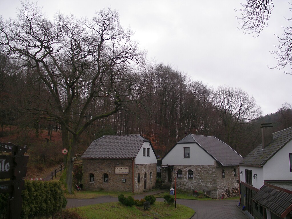 Mühlengebäude der Obersten Mühle (2008)