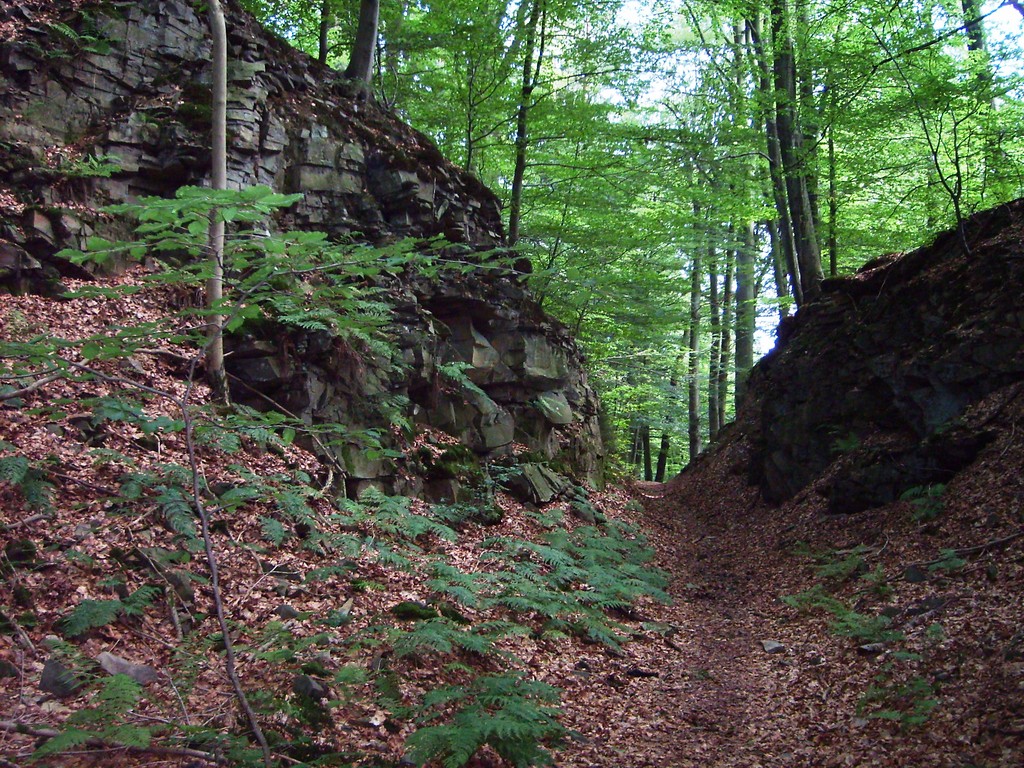 Abbaukanten des Steinbruches in Gimborn (2009)