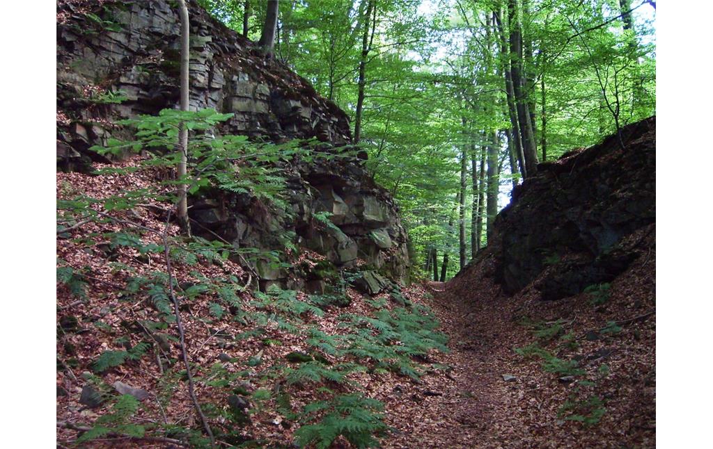 Abbaukanten des Steinbruches in Gimborn (2009)