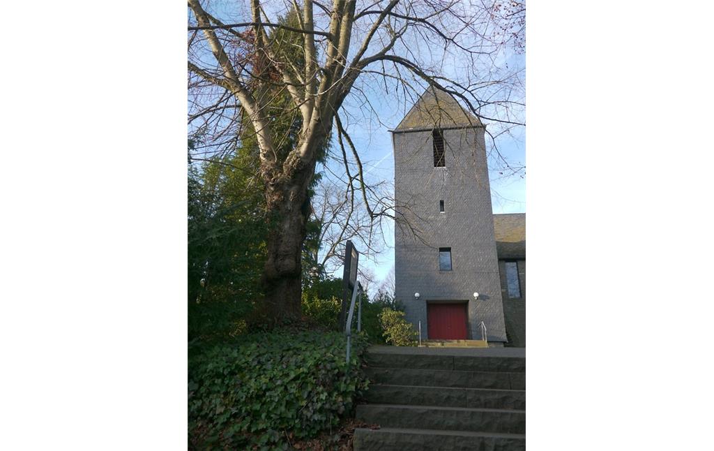 Winterlinde neben der Lichtenberger Kirche St. Joseph in Morsbach Lichtenberg (2015)